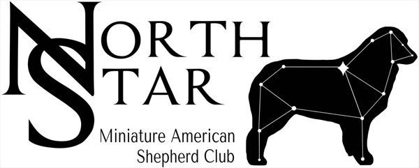 North Star Miniature American Shepherd Club